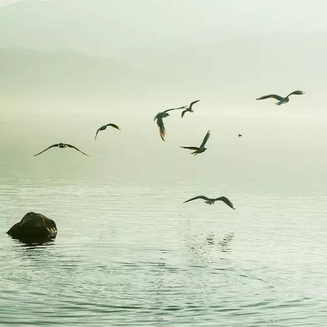 風(fēng)景攝影作品時(shí)光靜好：邛海景色！