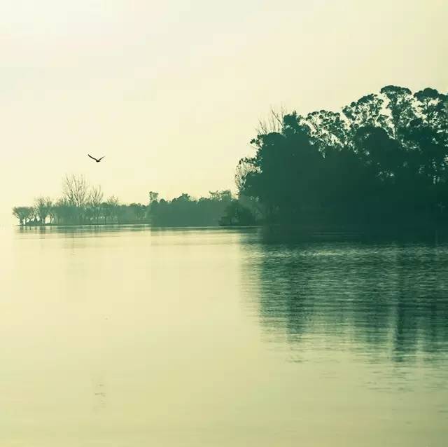 風(fēng)景攝影作品時光靜好：邛海景色！