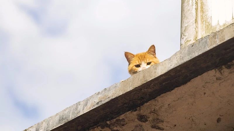 杭州·相見茶舍，若無相欠怎會(huì)相見