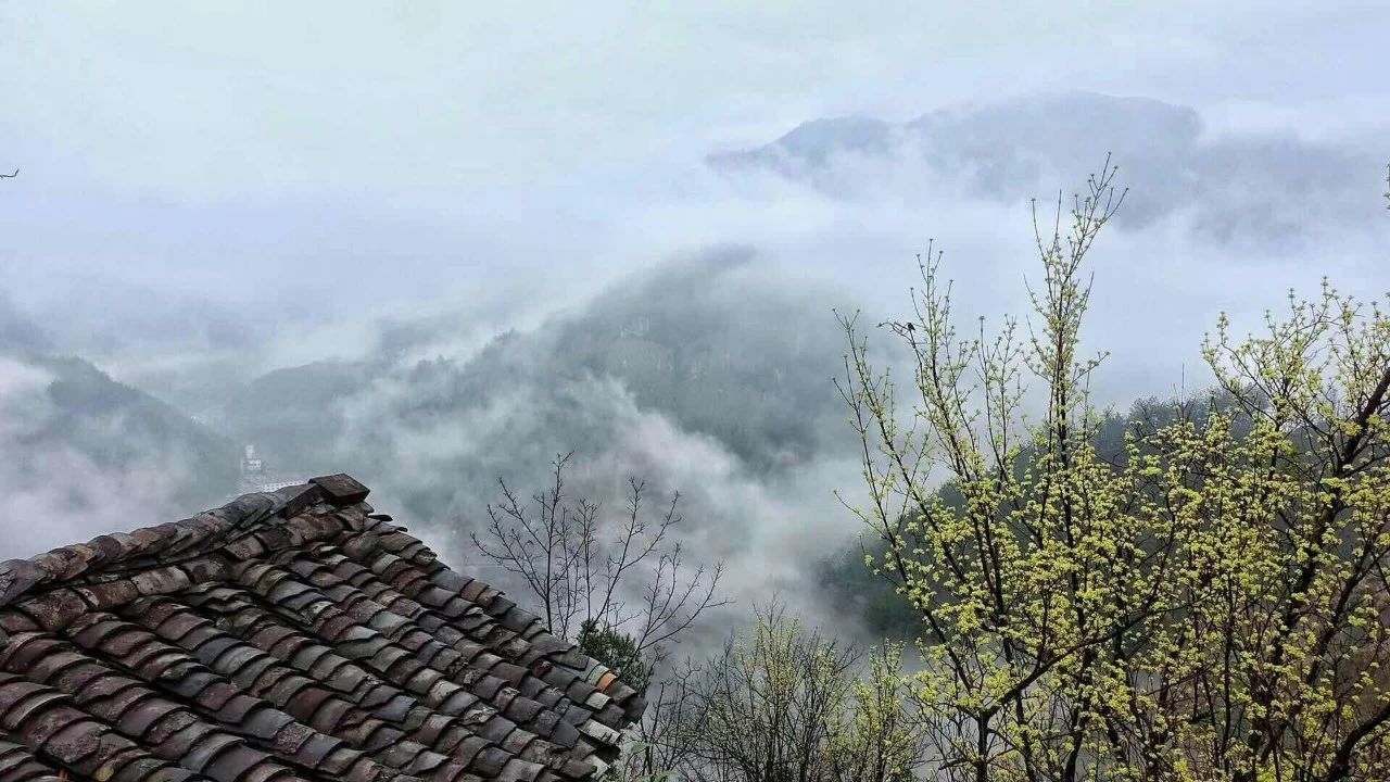 杭州·相見茶舍，若無相欠怎會(huì)相見