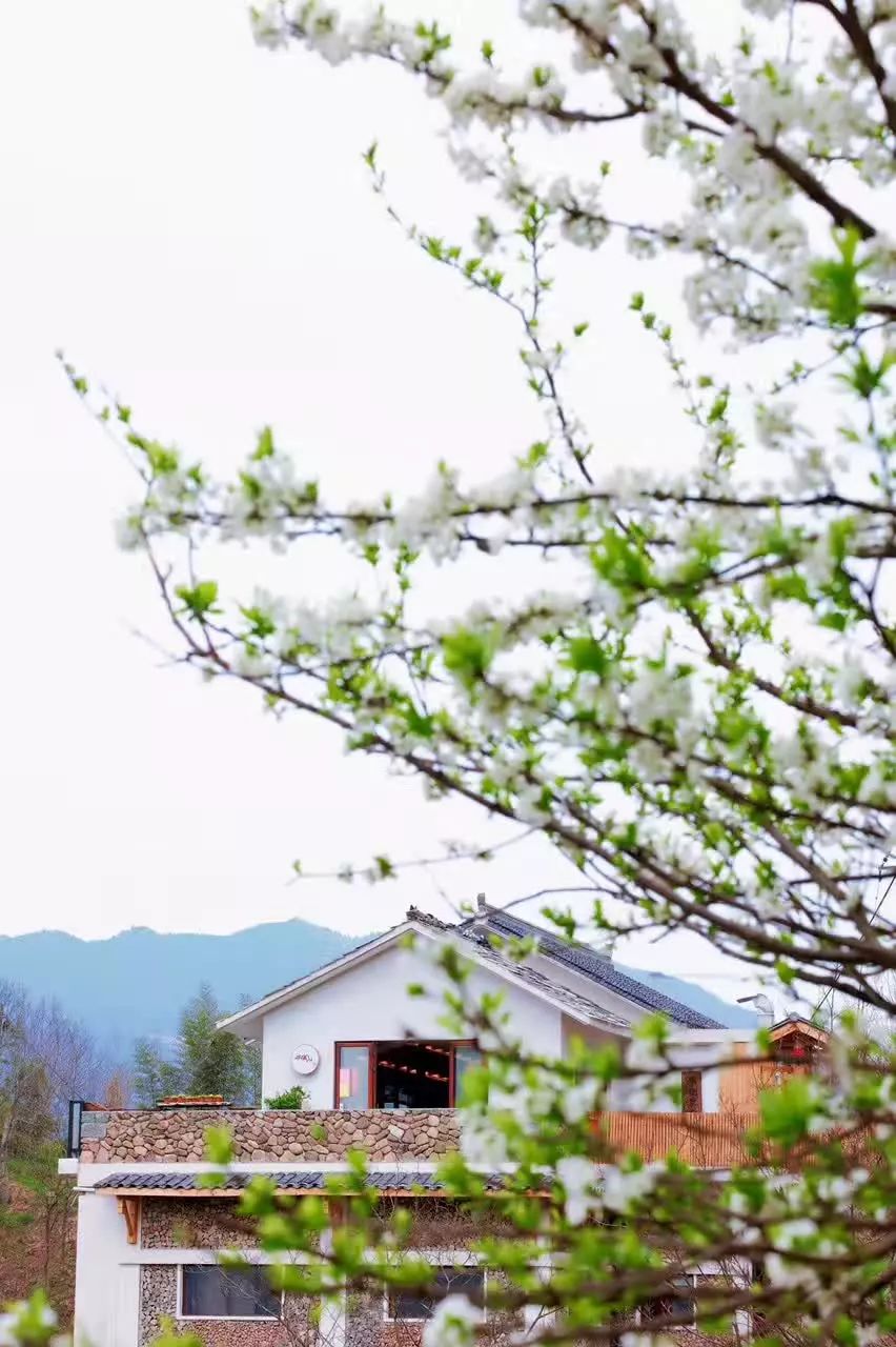 杭州·相見(jiàn)茶舍，若無(wú)相欠怎會(huì)相見(jiàn)