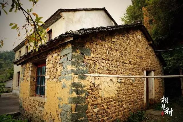 杭州·相見茶舍，若無相欠怎會相見