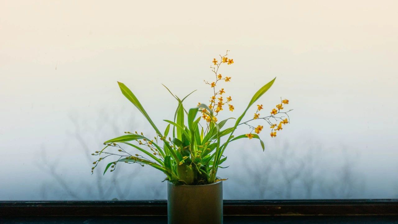 杭州·相見茶舍，若無相欠怎會相見