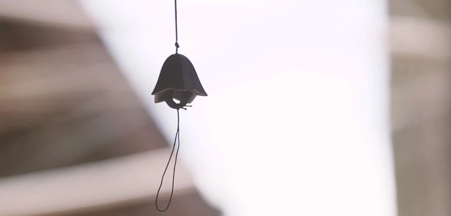 花田月舍·五月，最好的年紀(jì)找到內(nèi)心的歸屬感