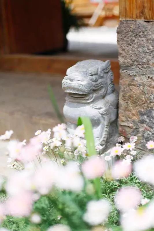 花田月舍·五月，最好的年紀(jì)找到內(nèi)心的歸屬感