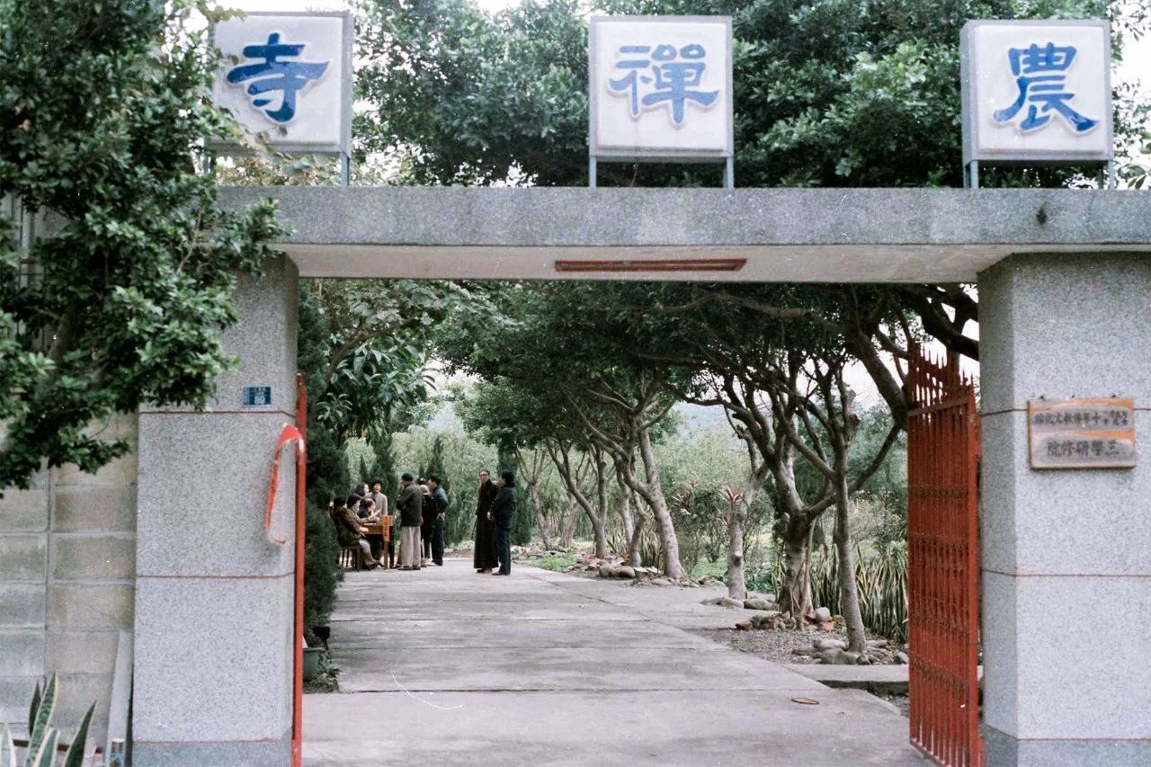 28000m2神秘寺廟-水月道場，吸引百萬人朝拜