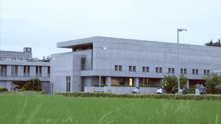 28000m2神秘寺廟-水月道場(chǎng)，吸引百萬(wàn)人朝拜