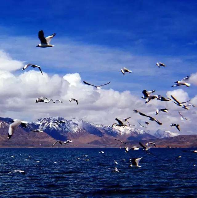 西藏景色，令人神往的佛界凈土