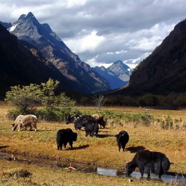 西藏景色，令人神往的佛界凈土