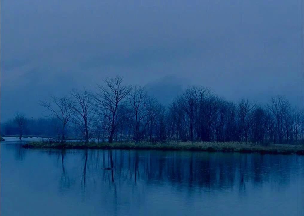 西顧·望城山居，闖入仙境等待一場花開的心動