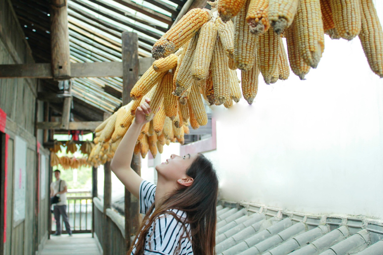 西顧·望城山居，闖入仙境等待一場花開的心動