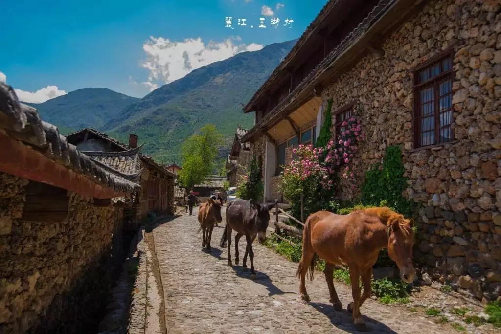 麗江·我們宿約，融入當(dāng)?shù)氐奈幕罡腥久總€人