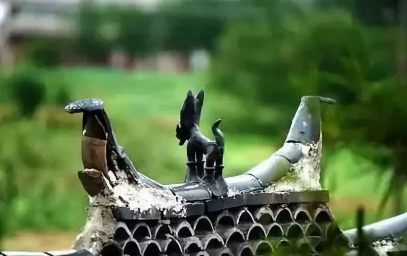 麗江·我們宿約，融入當(dāng)?shù)氐奈幕罡腥久總€人