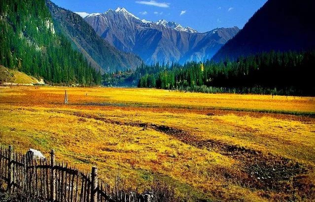 麗江·我們宿約，融入當(dāng)?shù)氐奈幕罡腥久總€人