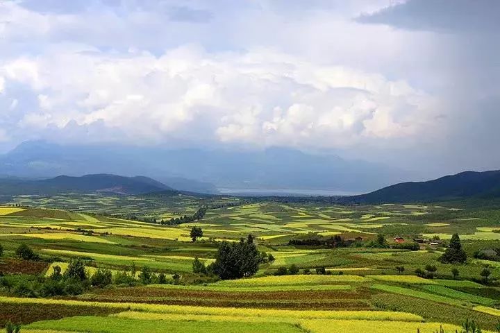 麗江·我們宿約，融入當(dāng)?shù)氐奈幕罡腥久總€人