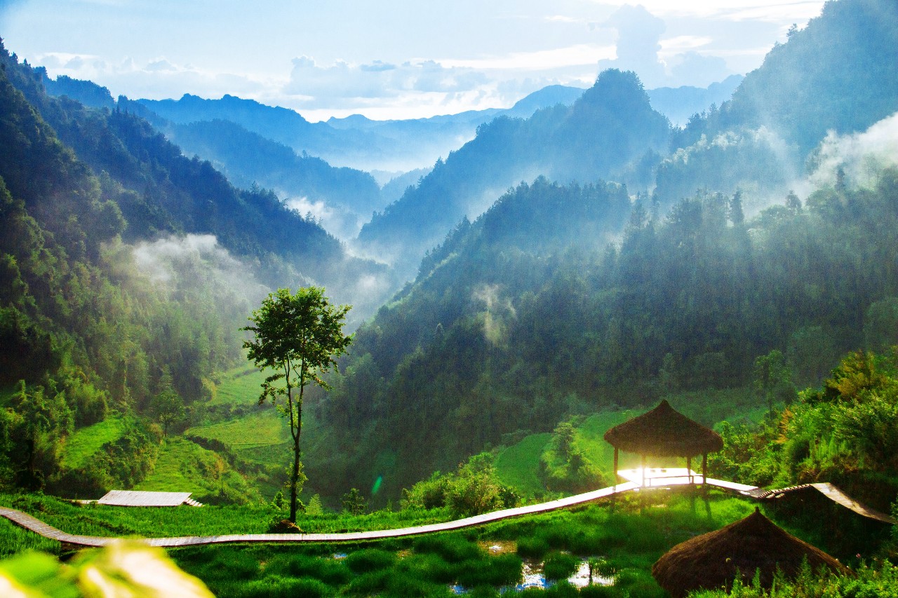 張家界·五號(hào)山谷，山谷在重生！