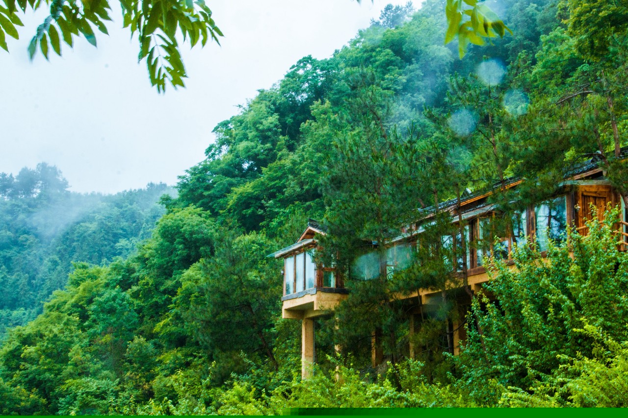 張家界·五號(hào)山谷，山谷在重生！