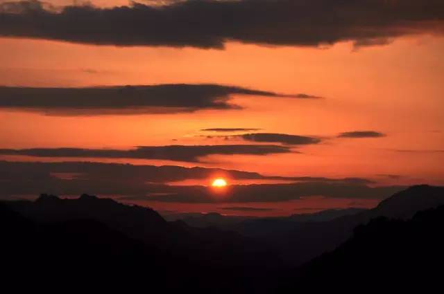 張家界·五號(hào)山谷，山谷在重生！