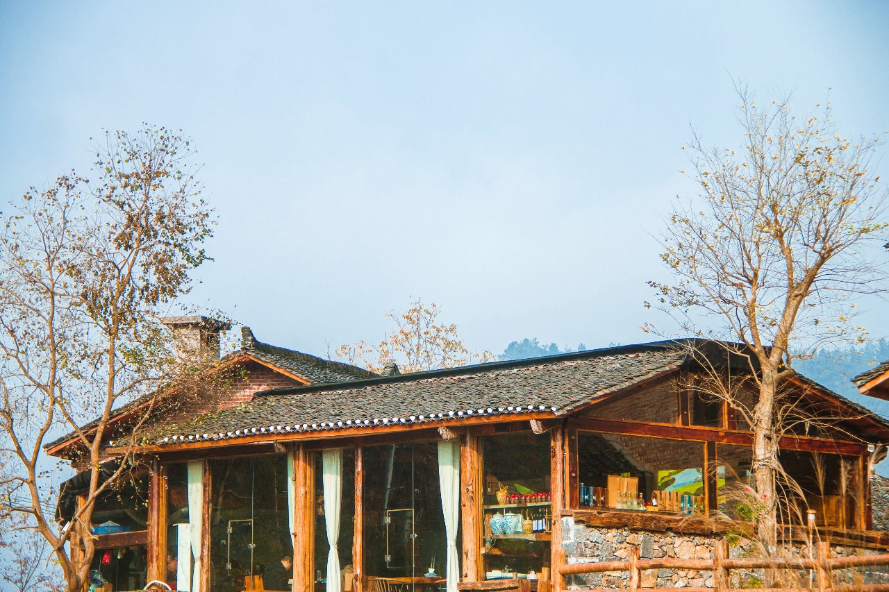 張家界·五號(hào)山谷，山谷在重生！