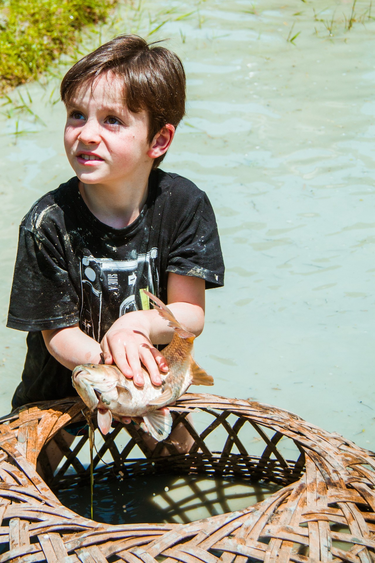 張家界·五號山谷，山谷在重生！