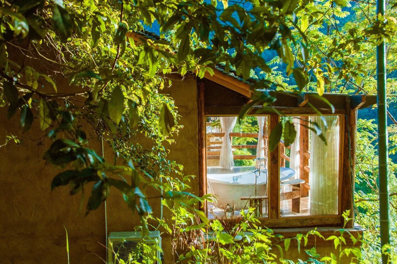 張家界·五號山谷，山谷在重生！