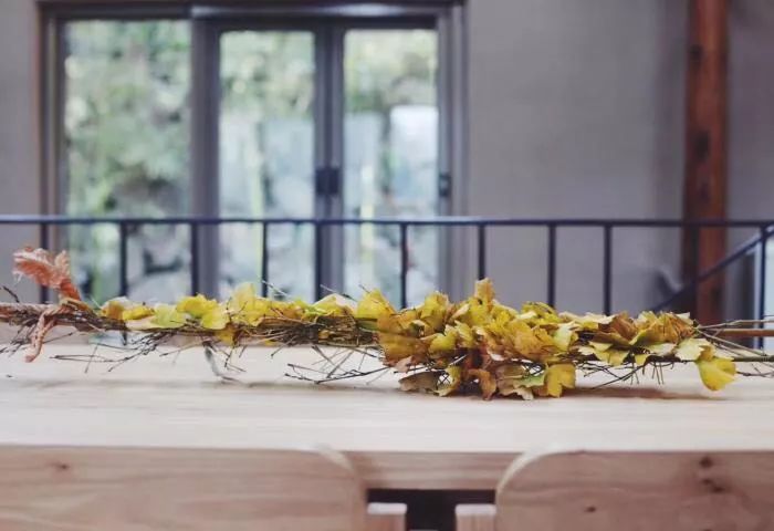 臨安·余來(lái)，讓生活重啟