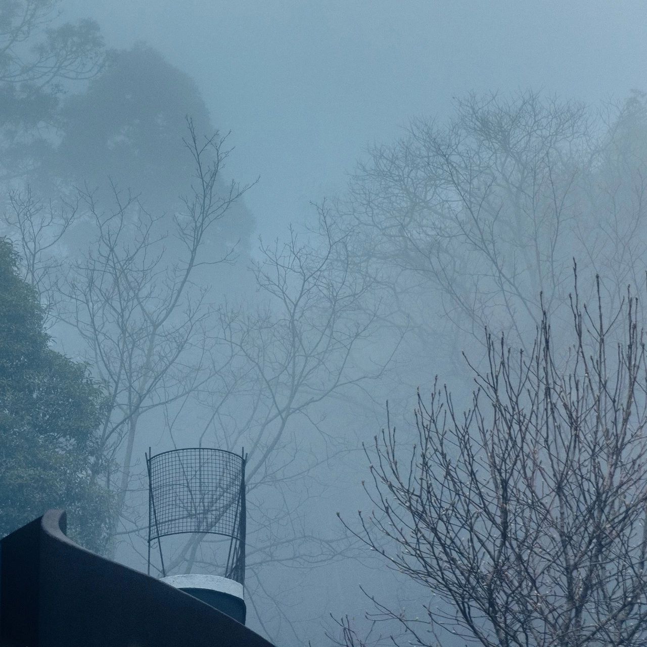 臨安·余來(lái)，讓生活重啟