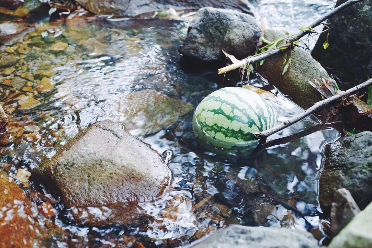 臨安·余來，讓生活重啟