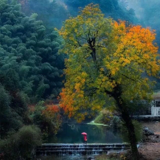 金華·村尚村宿，認(rèn)識自然尋回久違的童真