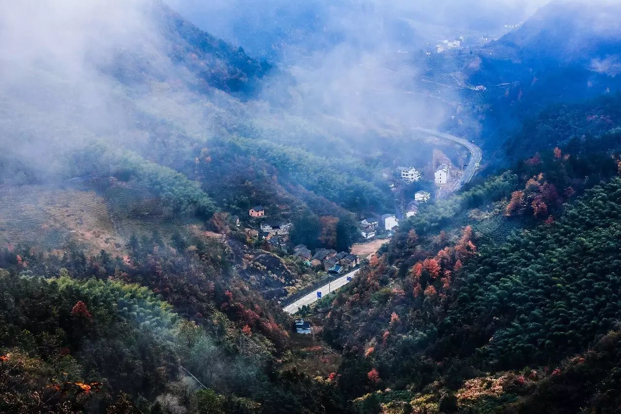 金華·村尚村宿，認(rèn)識自然尋回久違的童真