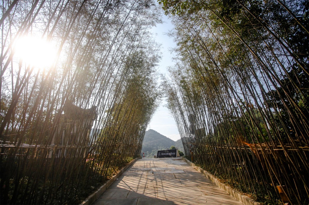 金華·村尚村宿，認(rèn)識自然尋回久違的童真