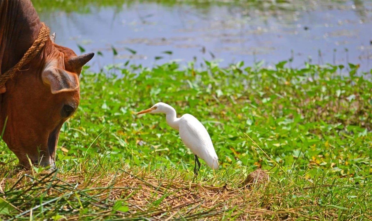 金華·村尚村宿，認(rèn)識自然尋回久違的童真
