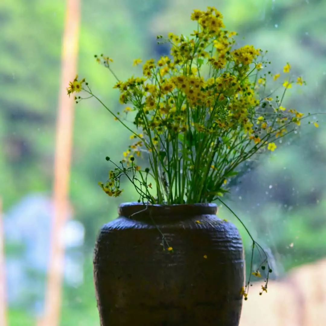 金華·村尚村宿，認(rèn)識自然尋回久違的童真