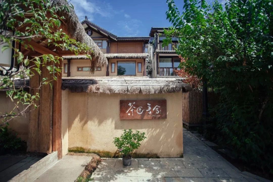 杭州·茶田秘境，有生之年盡情去折騰