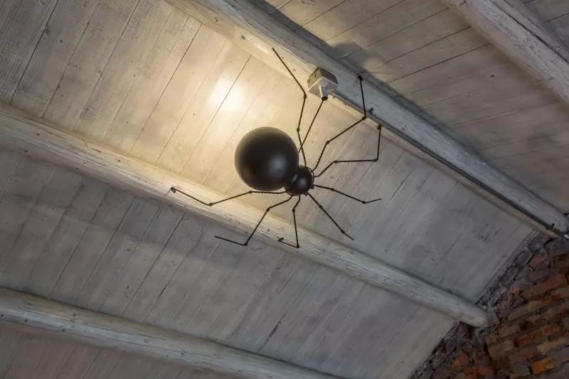 杭州·茶田秘境，有生之年盡情去折騰