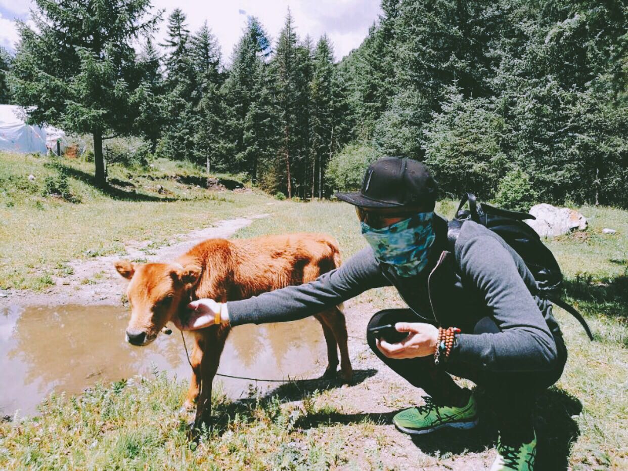 杭州·茶田秘境，有生之年盡情去折騰