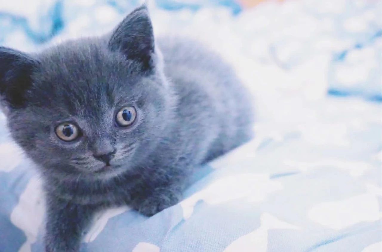 杭州·茶田秘境，有生之年盡情去折騰