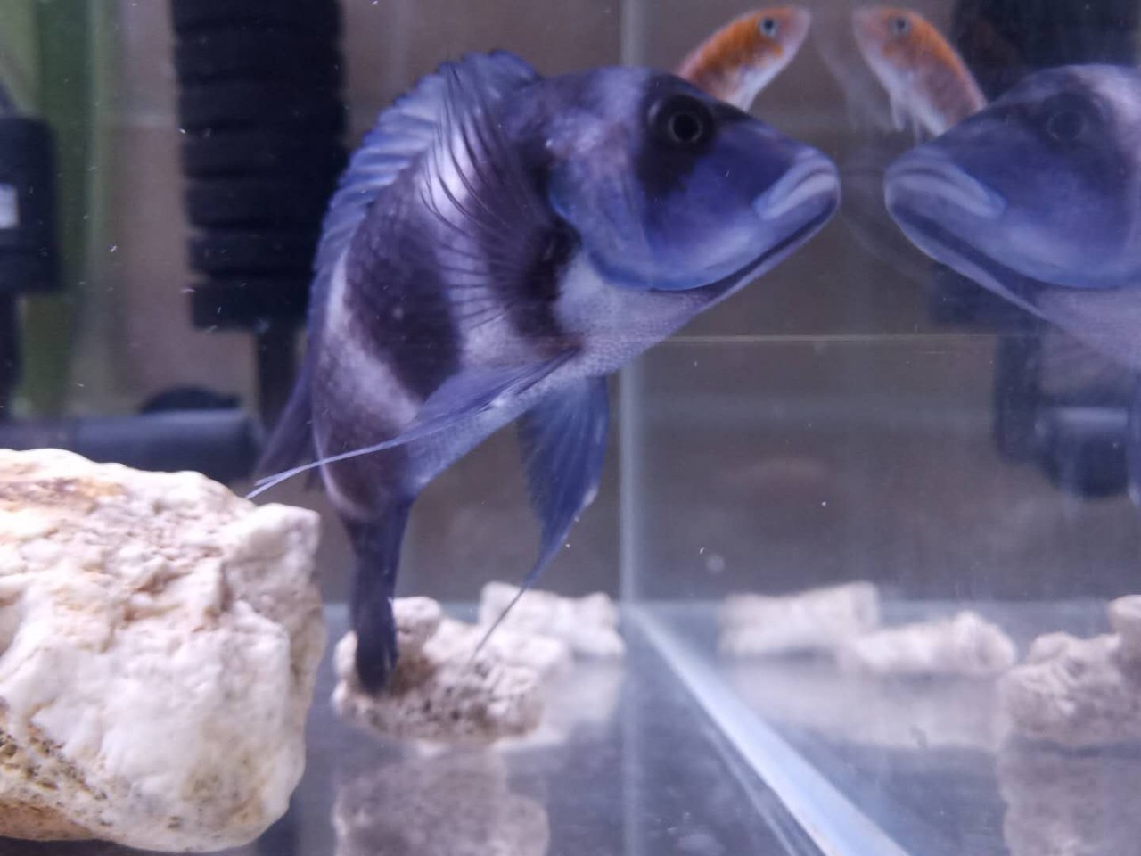 杭州·茶田秘境，有生之年盡情去折騰