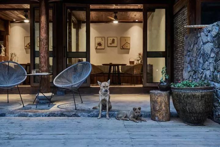 溫州·外水良藝境，一家溫州最美民宿之一