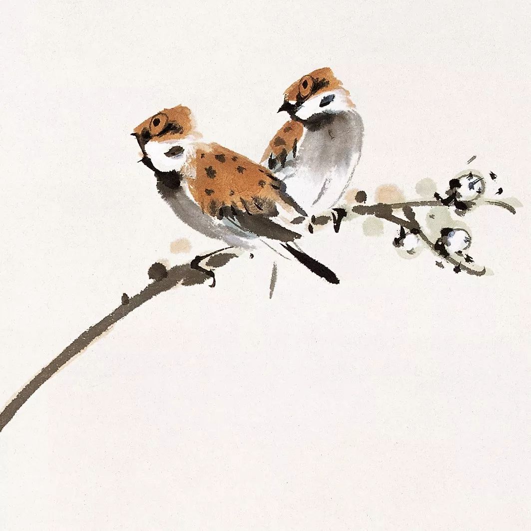 100幅禽鳥百圖，國畫鳥類美醉了！