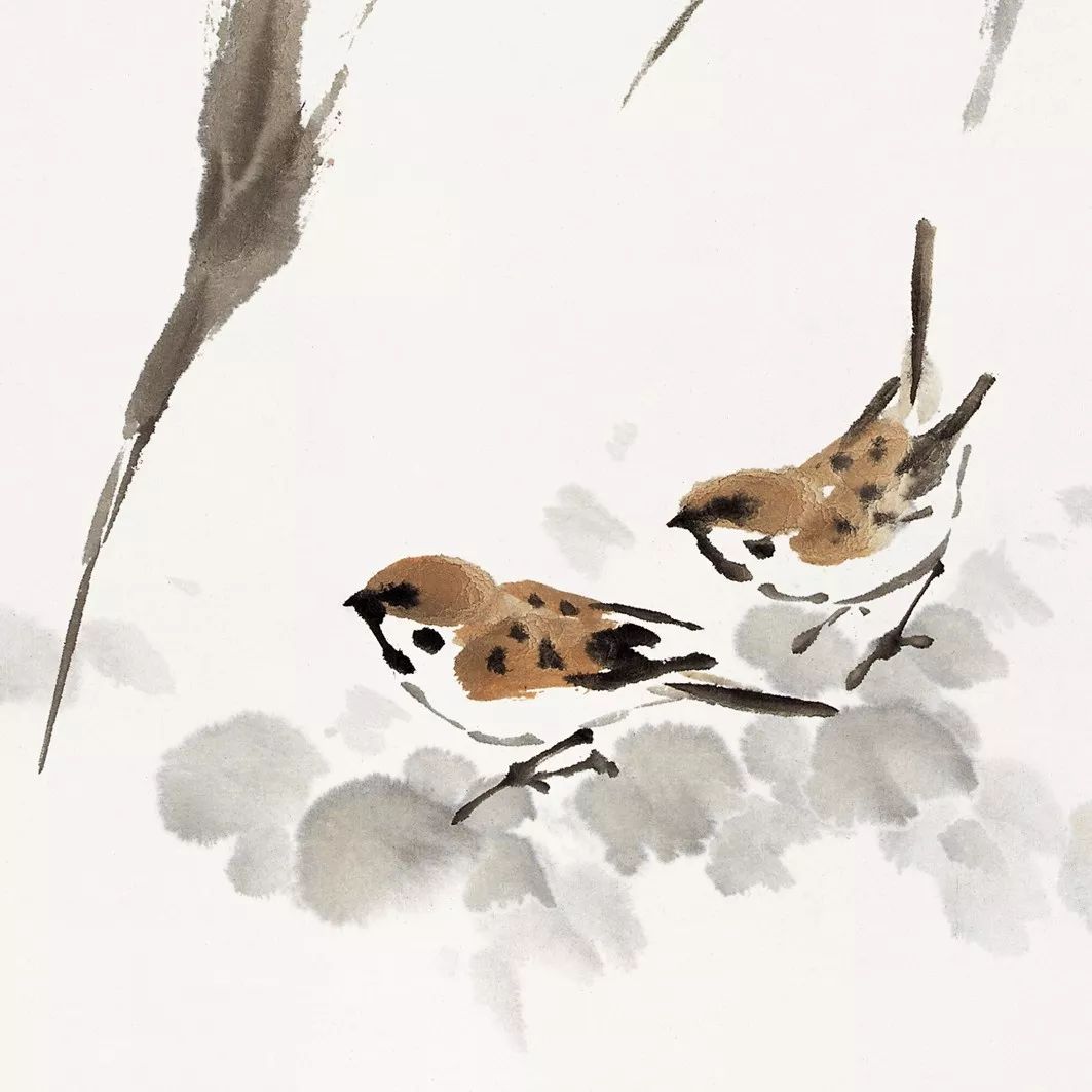 100幅禽鳥百圖，國畫鳥類美醉了！