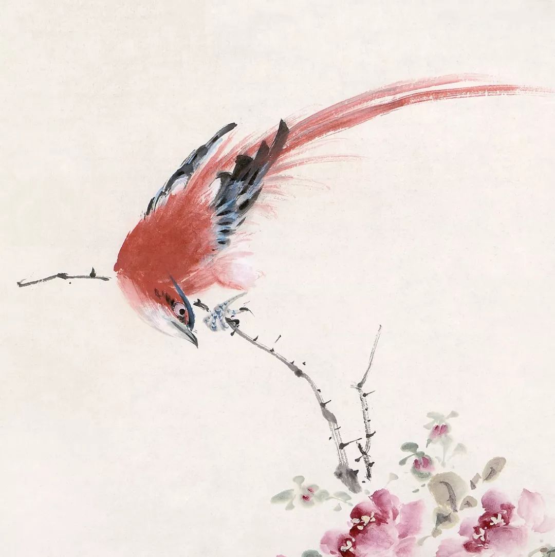 100幅禽鳥百圖，國畫鳥類美醉了！