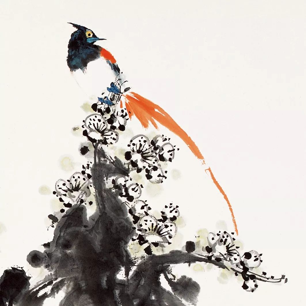 100幅禽鳥百圖，國畫鳥類美醉了！