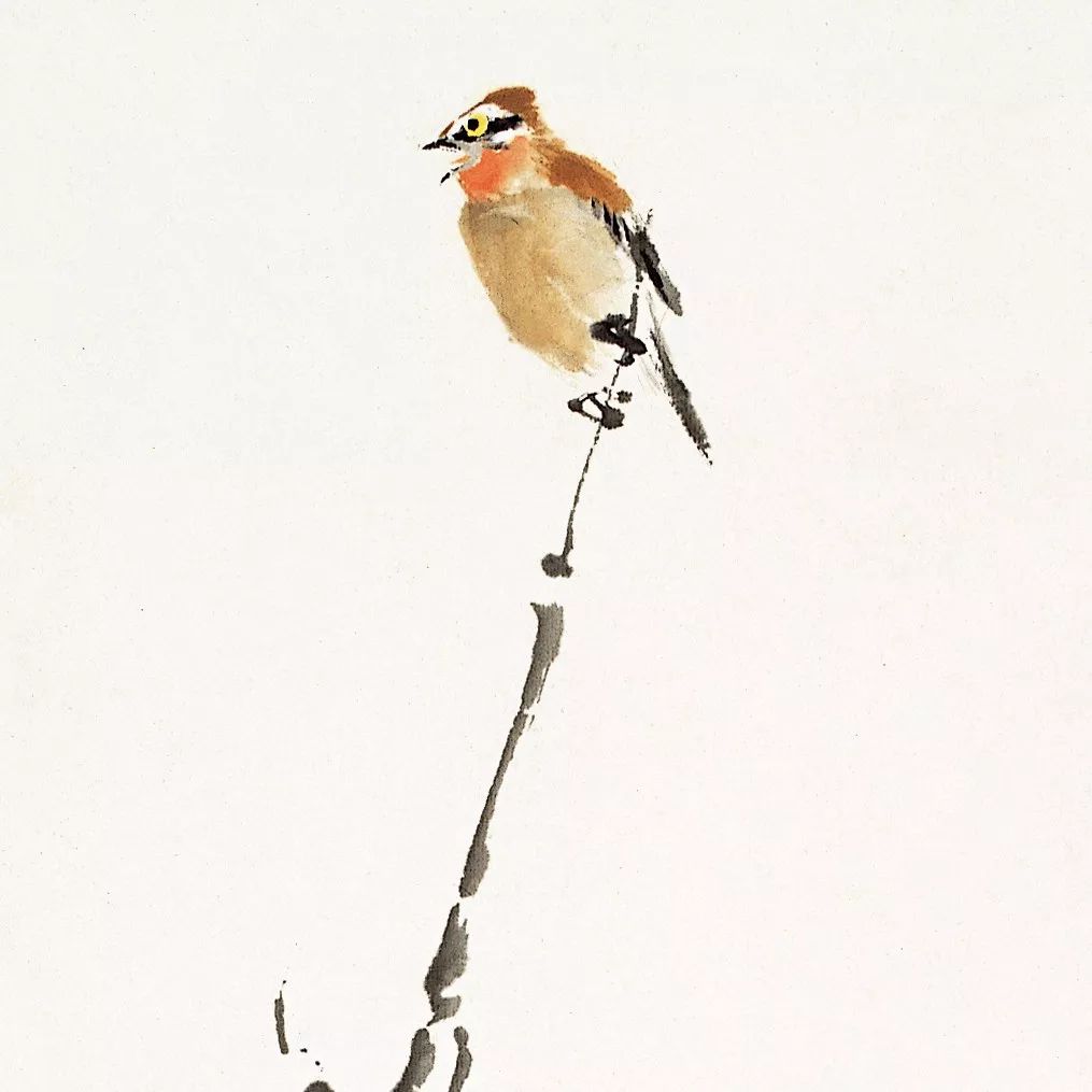 100幅禽鳥百圖，國畫鳥類美醉了！