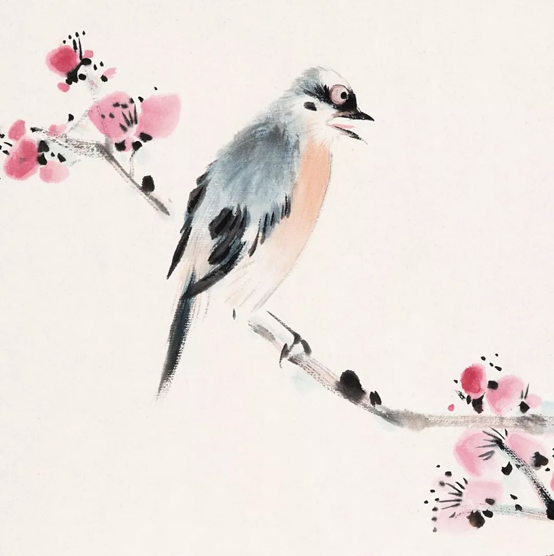 100幅禽鳥百圖，國畫鳥類美醉了！