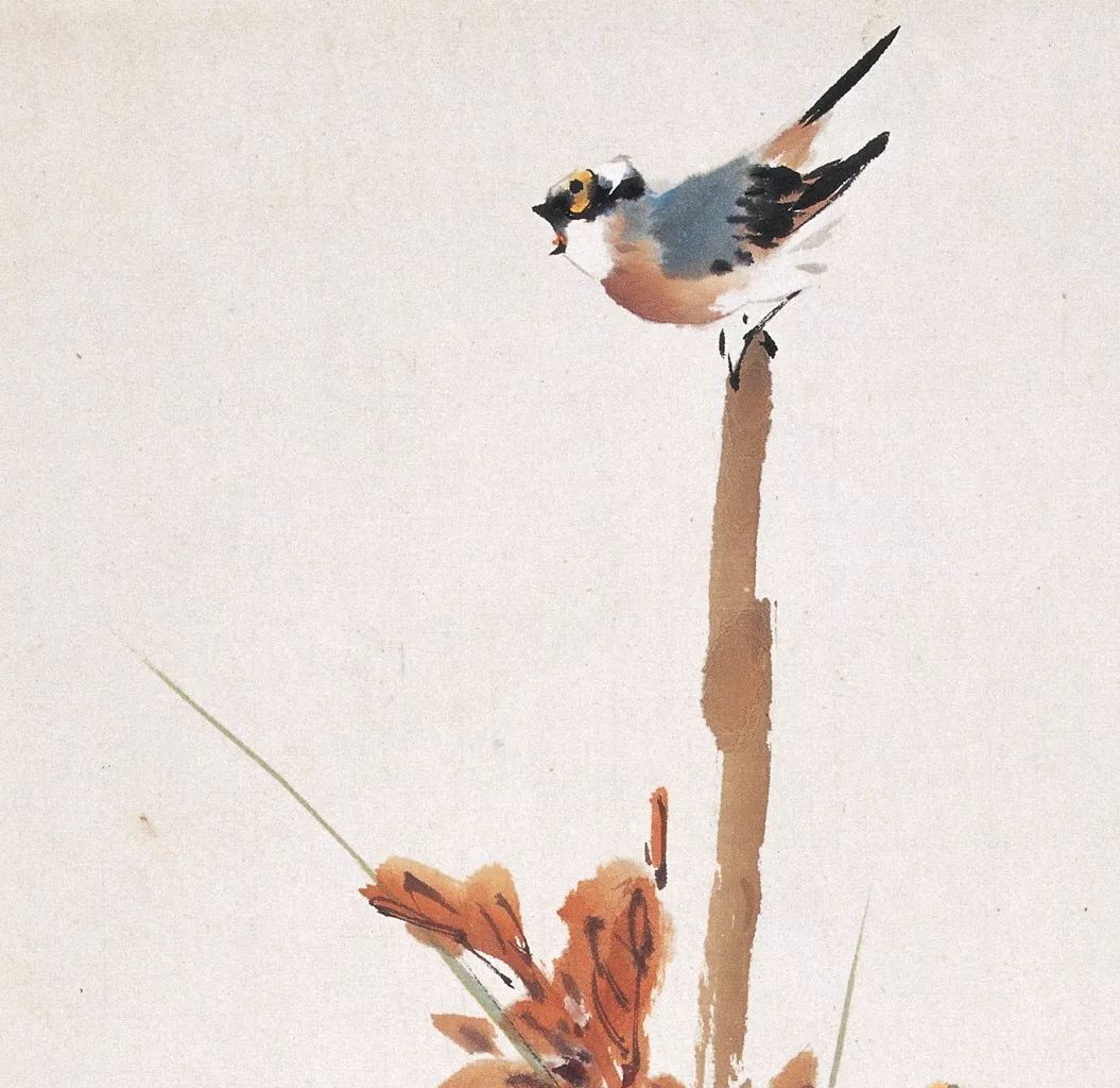 100幅禽鳥百圖，國畫鳥類美醉了！