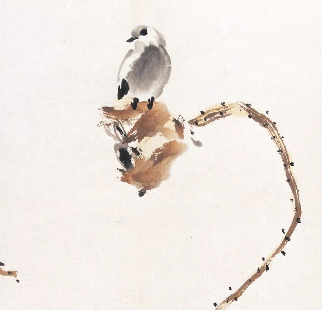 100幅禽鳥百圖，國畫鳥類美醉了！