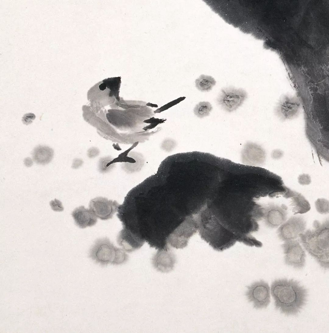 100幅禽鳥百圖，國畫鳥類美醉了！