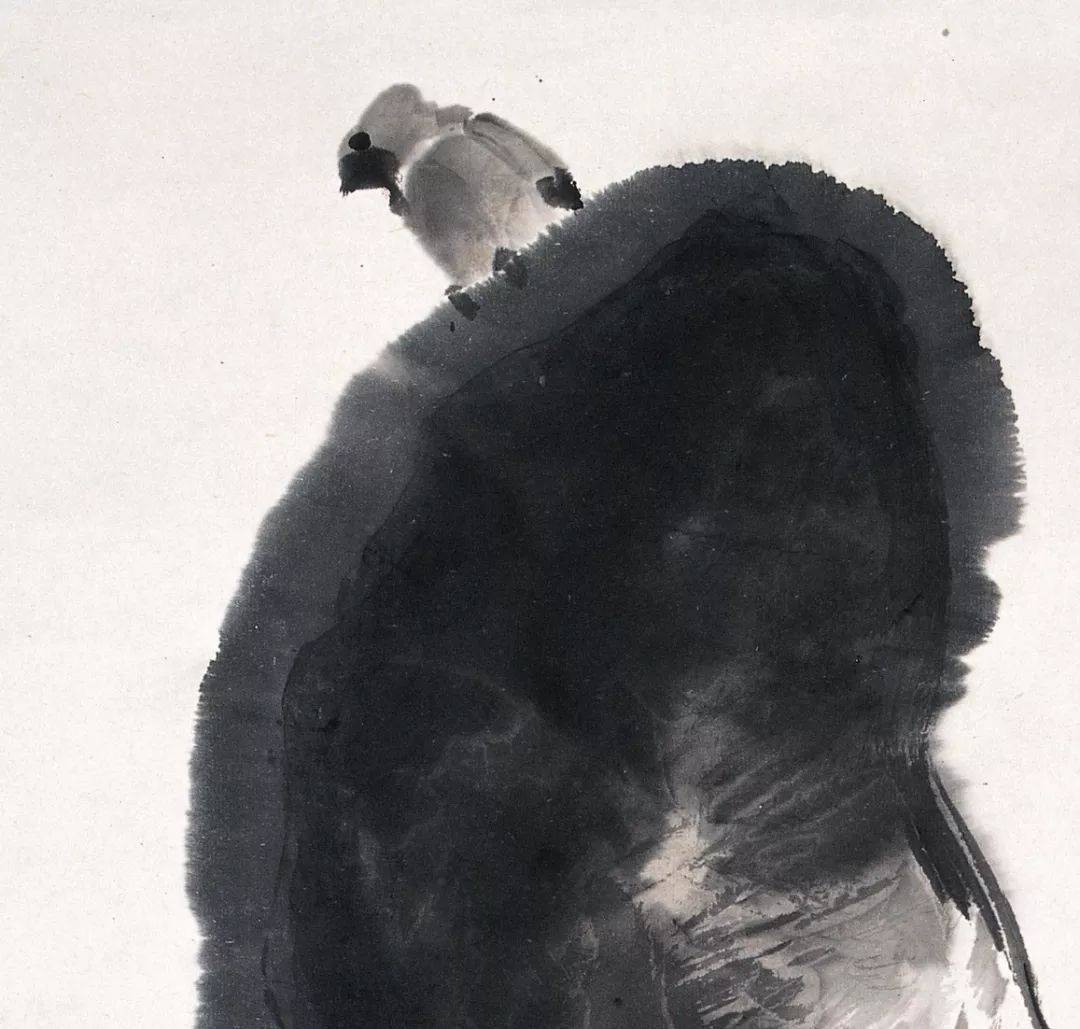 100幅禽鳥百圖，國畫鳥類美醉了！