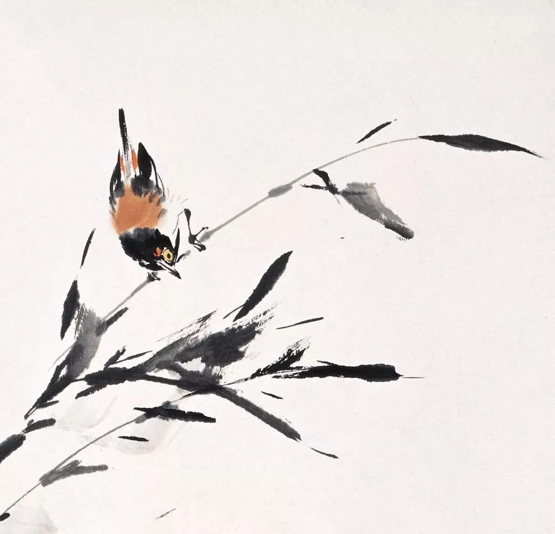 100幅禽鳥百圖，國畫鳥類美醉了！